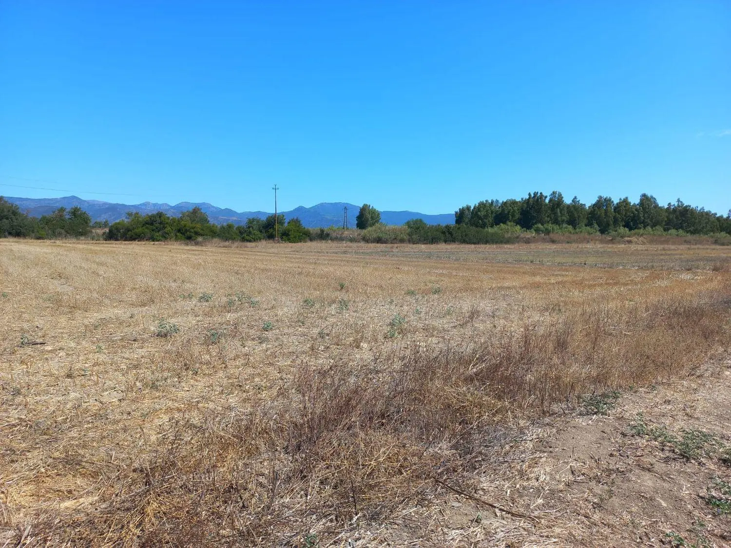 Immagine per Terreno Agricolo in vendita a Villamassargia via Provinciale