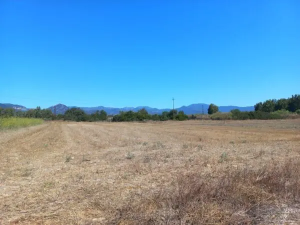 Terreno Agricolo via Provinciale, Villamassargia