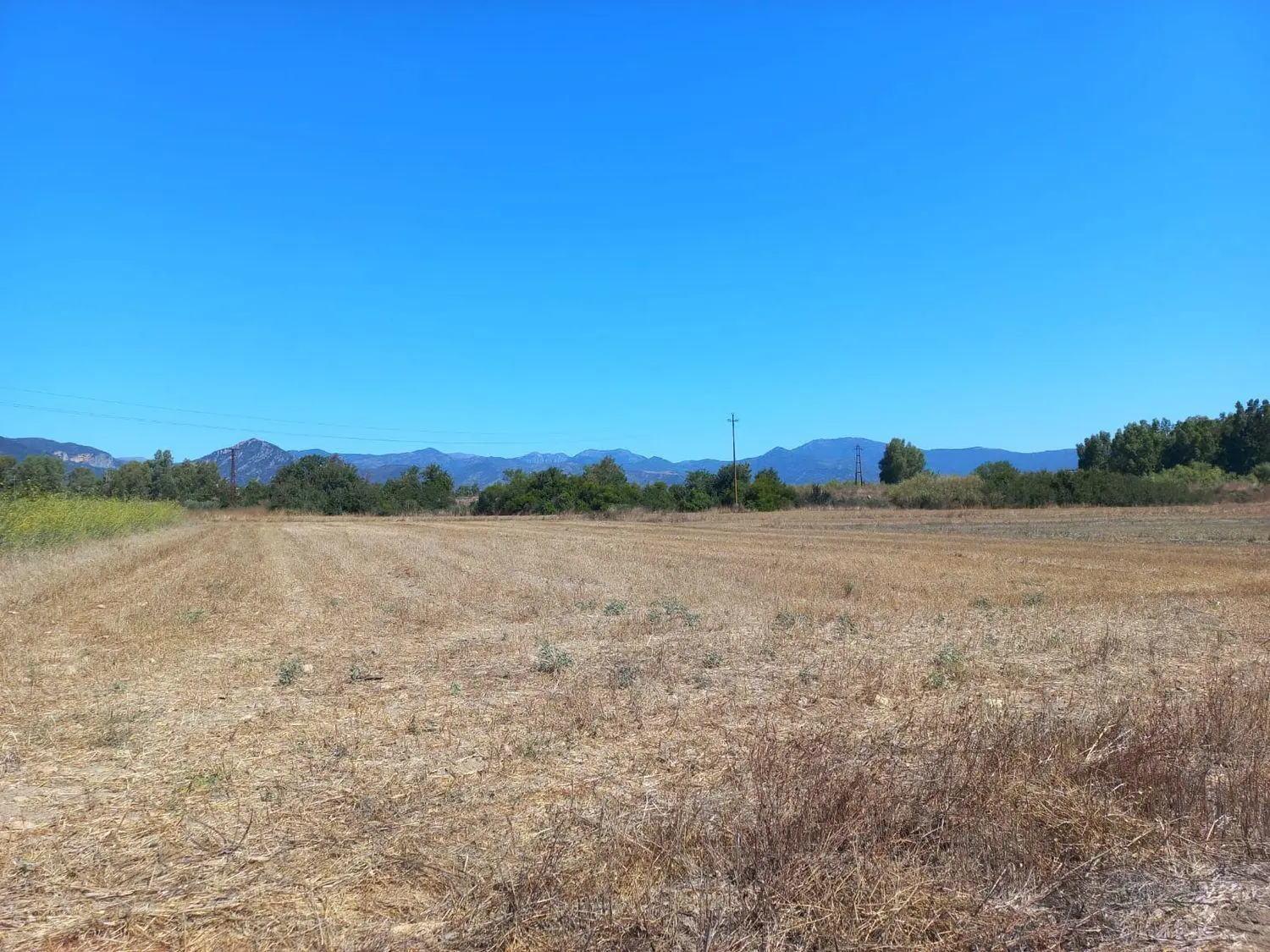 Immagine per Terreno Agricolo in vendita a Villamassargia via Provinciale
