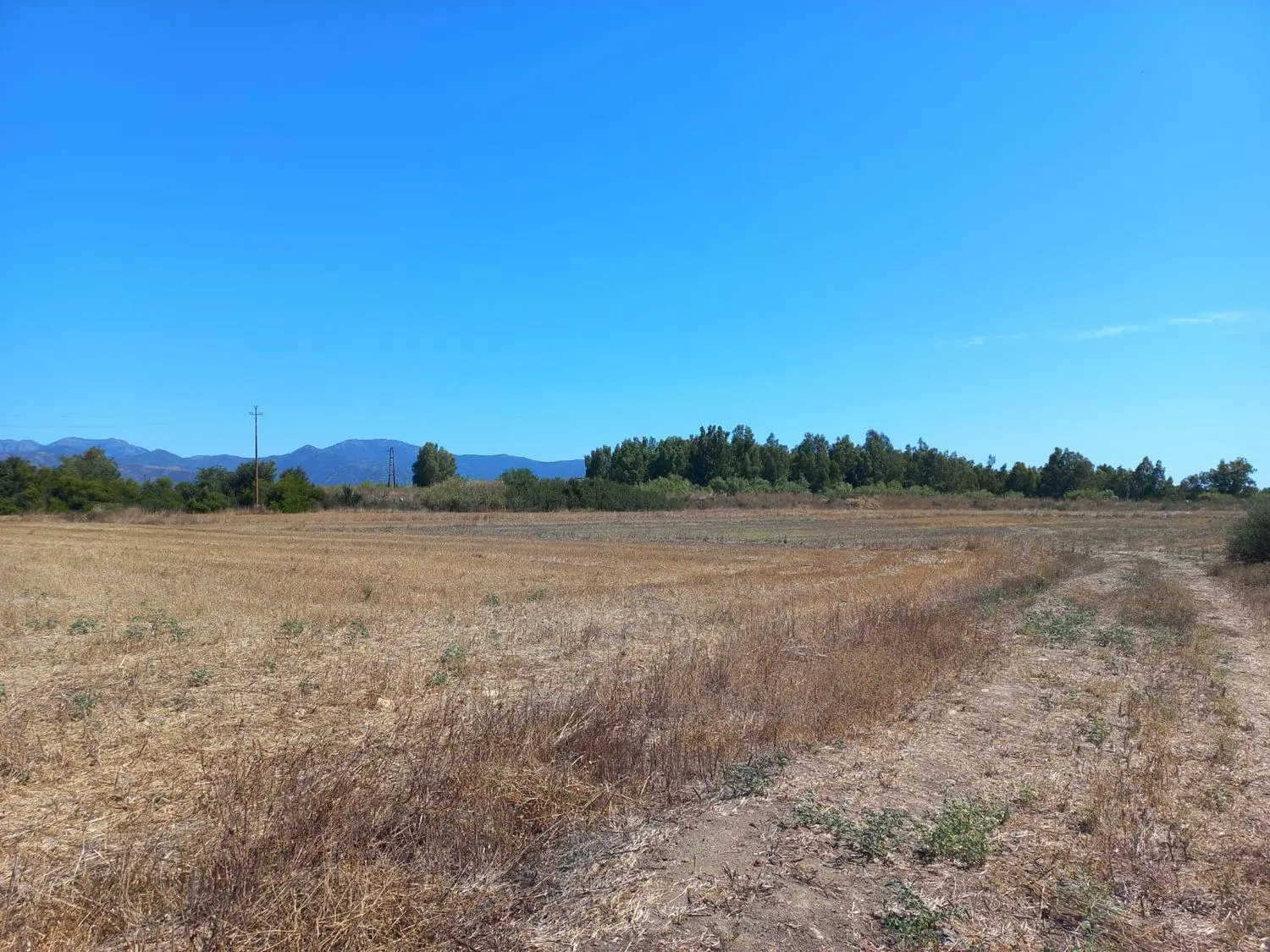 Immagine per Terreno Agricolo in vendita a Villamassargia via Provinciale
