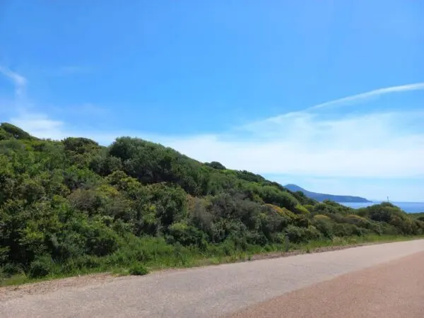 Terreno Agricolo via Portixeddu, Fluminimaggiore