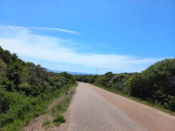 Terreno Agricolo via Portixeddu, Fluminimaggiore