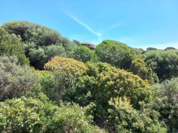 Terreno Agricolo via Portixeddu, Fluminimaggiore