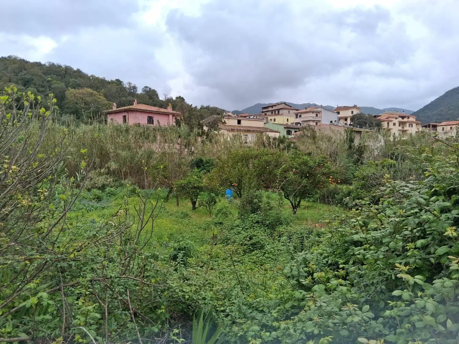 Immagine per Terreno Edificabile in vendita a Fluminimaggiore via Lussu