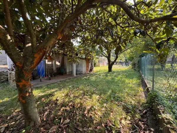 Immagine per Rustico in vendita a Givoletto via Rivoli