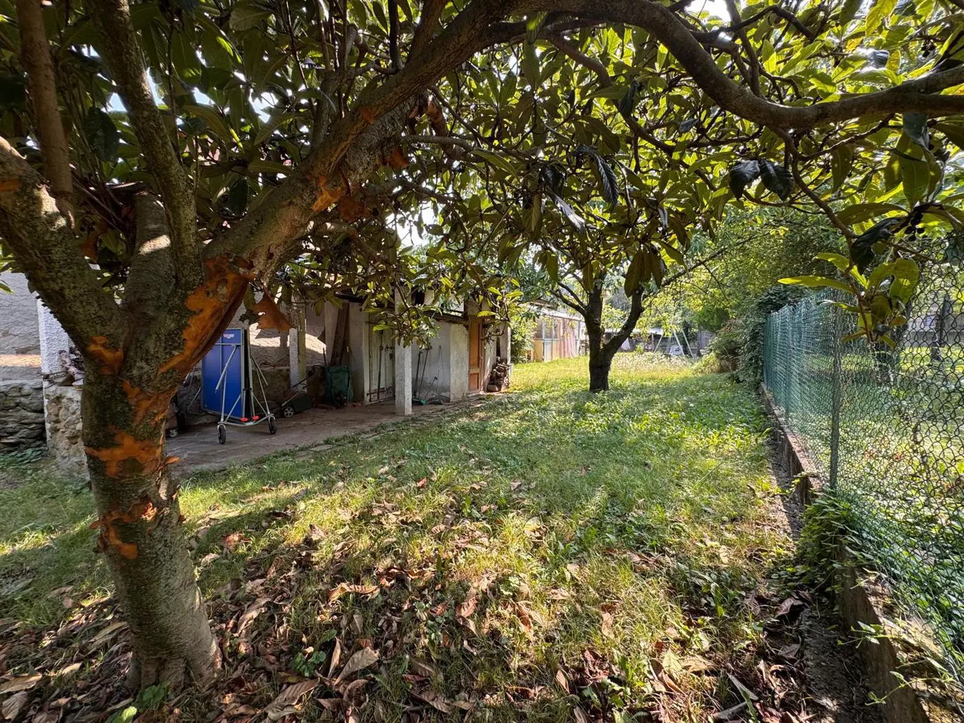 Immagine per Rustico in vendita a Givoletto via Rivoli