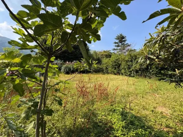 Immagine per Rustico in vendita a Givoletto via Rivoli
