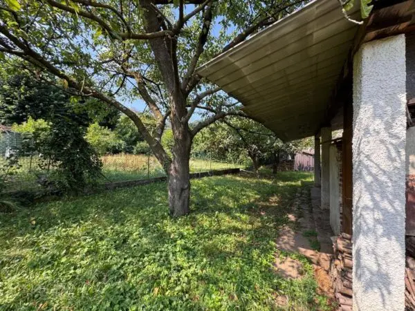 Immagine per Rustico in vendita a Givoletto via Rivoli