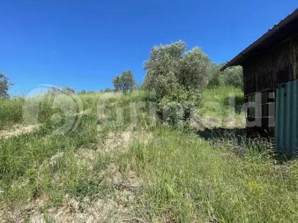 Rustico via Salincerqua 00, Mentana