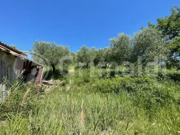 Rustico via Salincerqua 00, Mentana