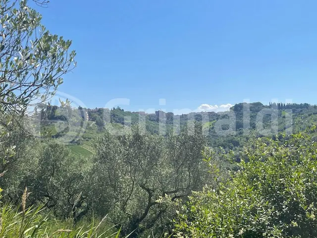 Immagine per Rustico in vendita a Mentana via Salincerqua 00