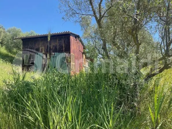 Rustico via Salincerqua 00, Mentana