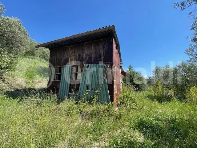 Immagine per Rustico in vendita a Mentana via Salincerqua 00