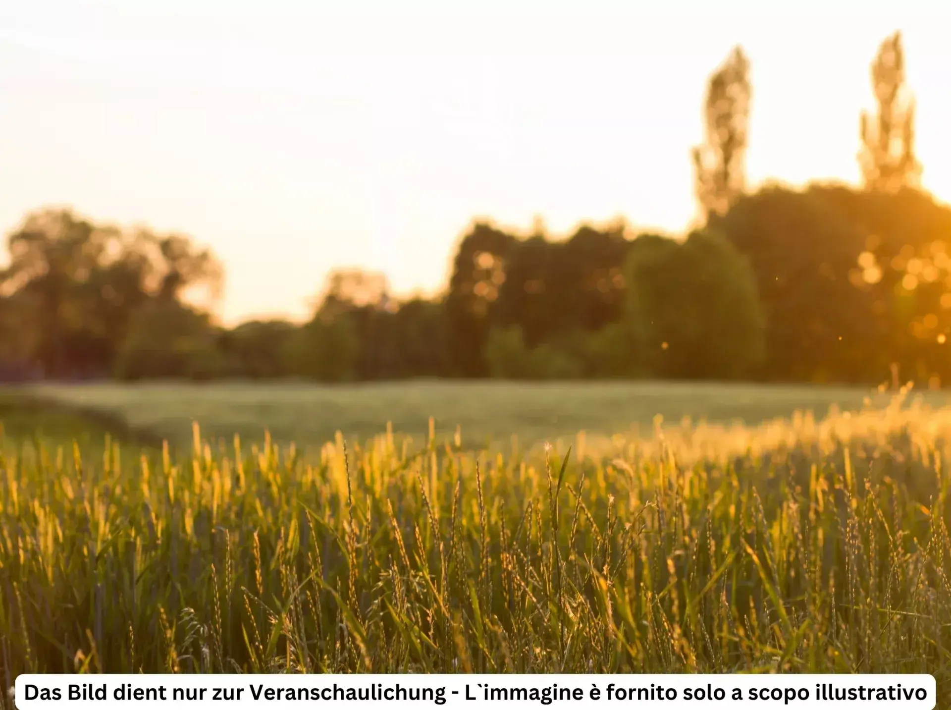 Immagine per Casa indipendente in vendita a Naturno