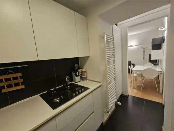 Appartamento via Giuseppe Lugi Lagrange 29, Torino