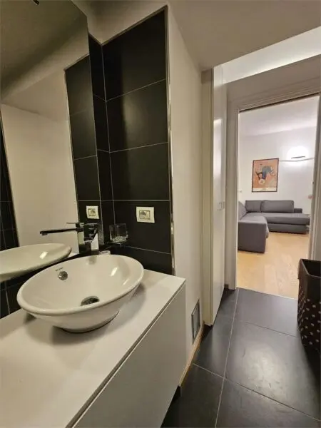 Appartamento via Giuseppe Lugi Lagrange 29, Torino