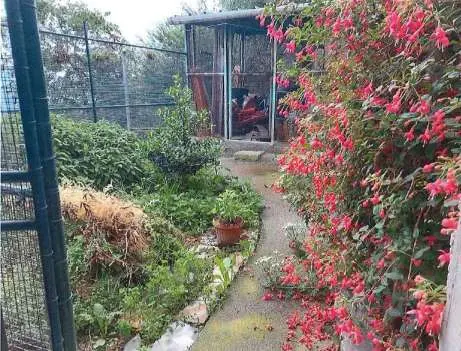 Casa Indipendente via Foresto 12, Giustenice