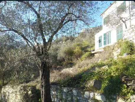 Villa Bifamiliare via Iv Novembre Snc, Leivi