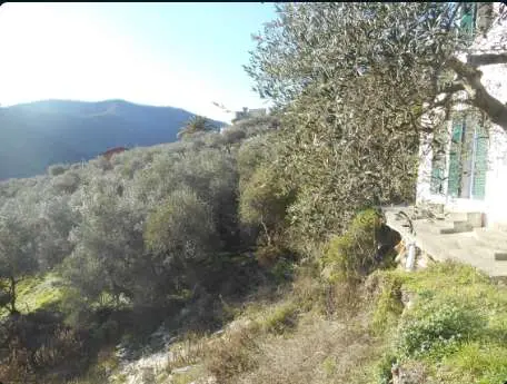 Villa Bifamiliare via Iv Novembre Snc, Leivi