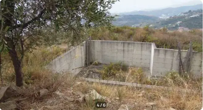 Immagine per Terreno agricolo in asta a Pompeiana via Località San Bernardo