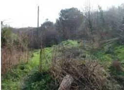 Terreno Agricolo via Località Brughe, Genova