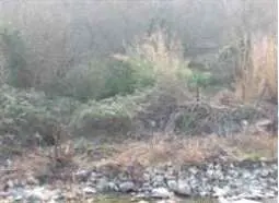 Terreno Agricolo via Località Brughe, Genova
