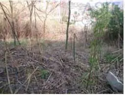 Terreno Agricolo via Località Brughe, Genova