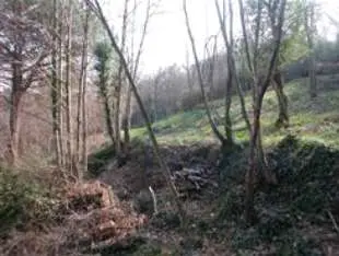 Terreno Agricolo via Località Brughe, Genova