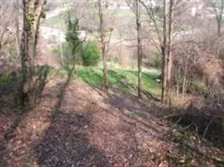 Terreno Agricolo via Località Brughe, Genova