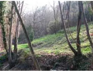 Terreno Agricolo via Località Brughe, Genova