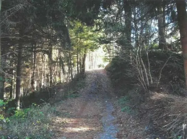 Rustico via Regione Camporosso 3, Calizzano