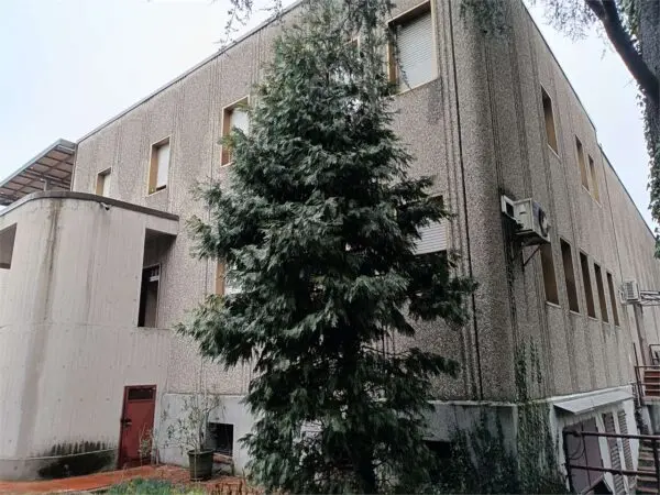Immagine per Capannone in asta a San Vittore Olona