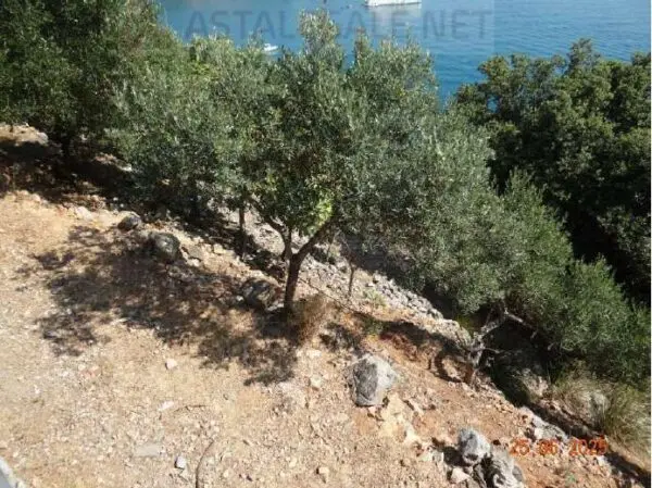 Terreno Agricolo via Snc, Portovenere