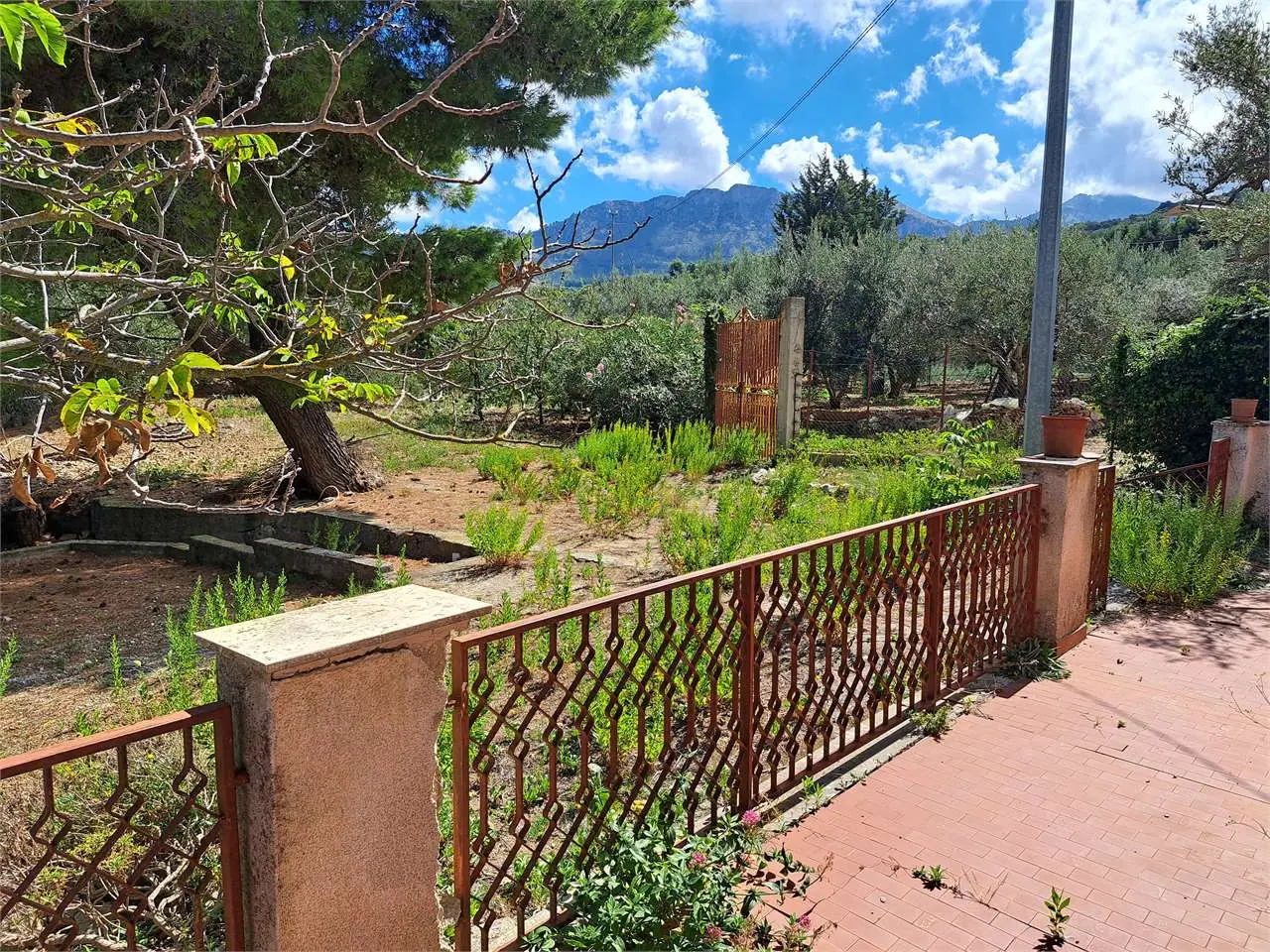 Immagine per Villa in vendita a Monreale