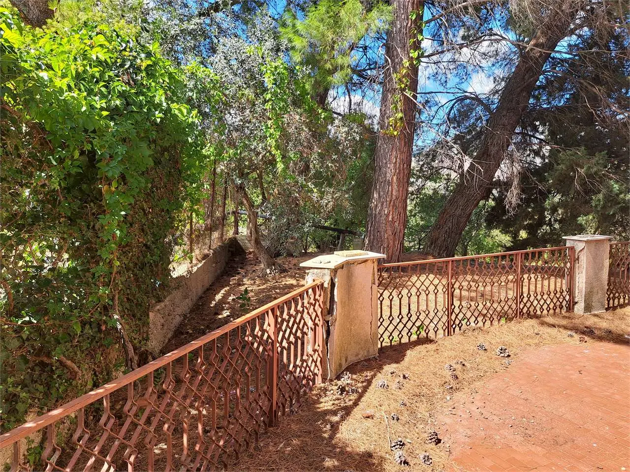 Immagine per Villa in vendita a Monreale
