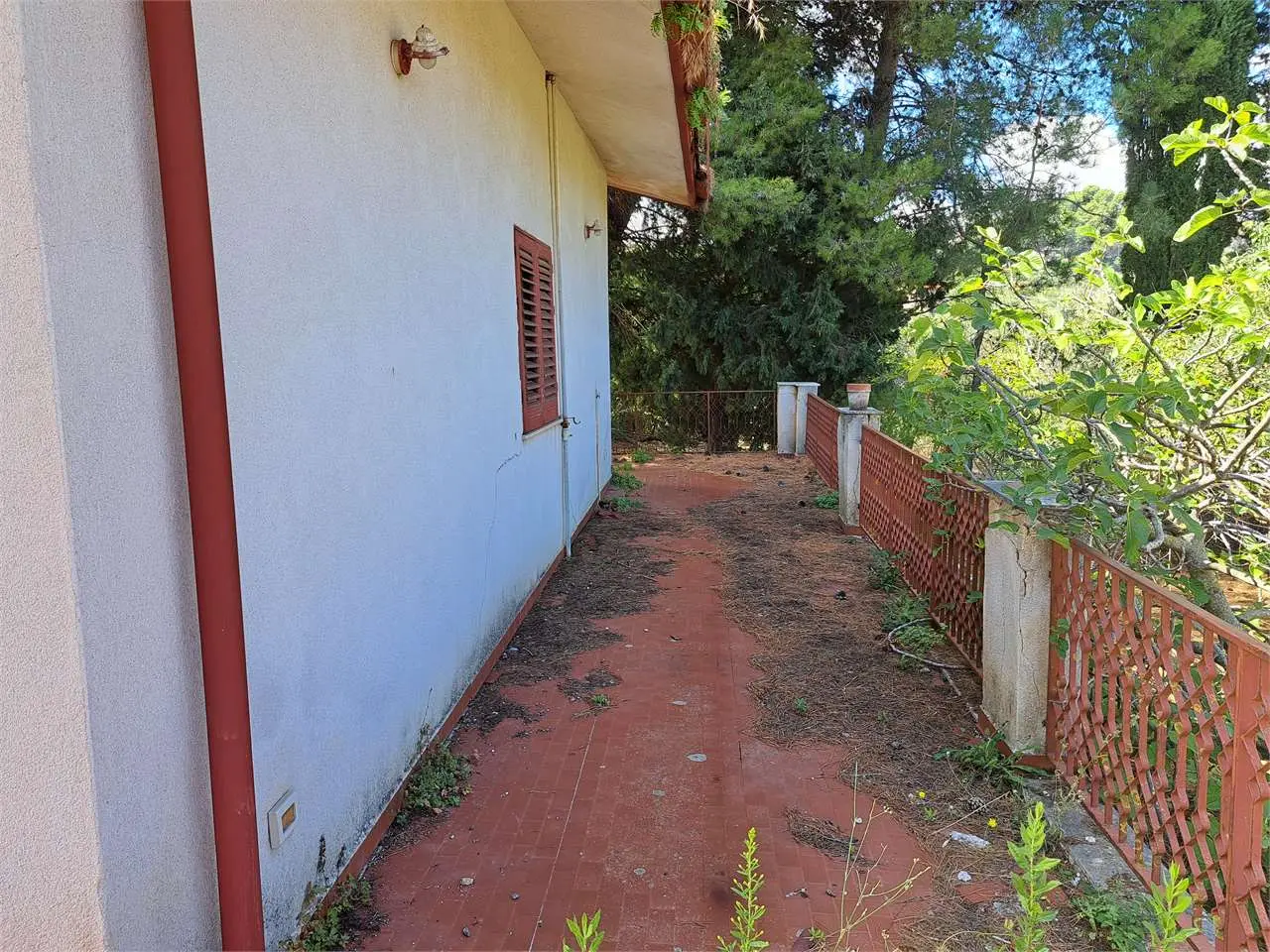 Immagine per Villa in vendita a Monreale