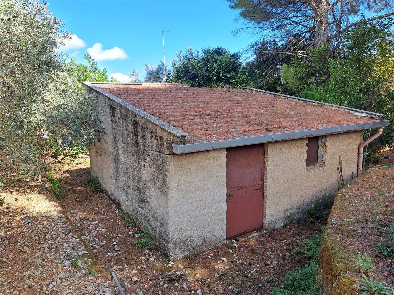 Immagine per Villa in vendita a Monreale