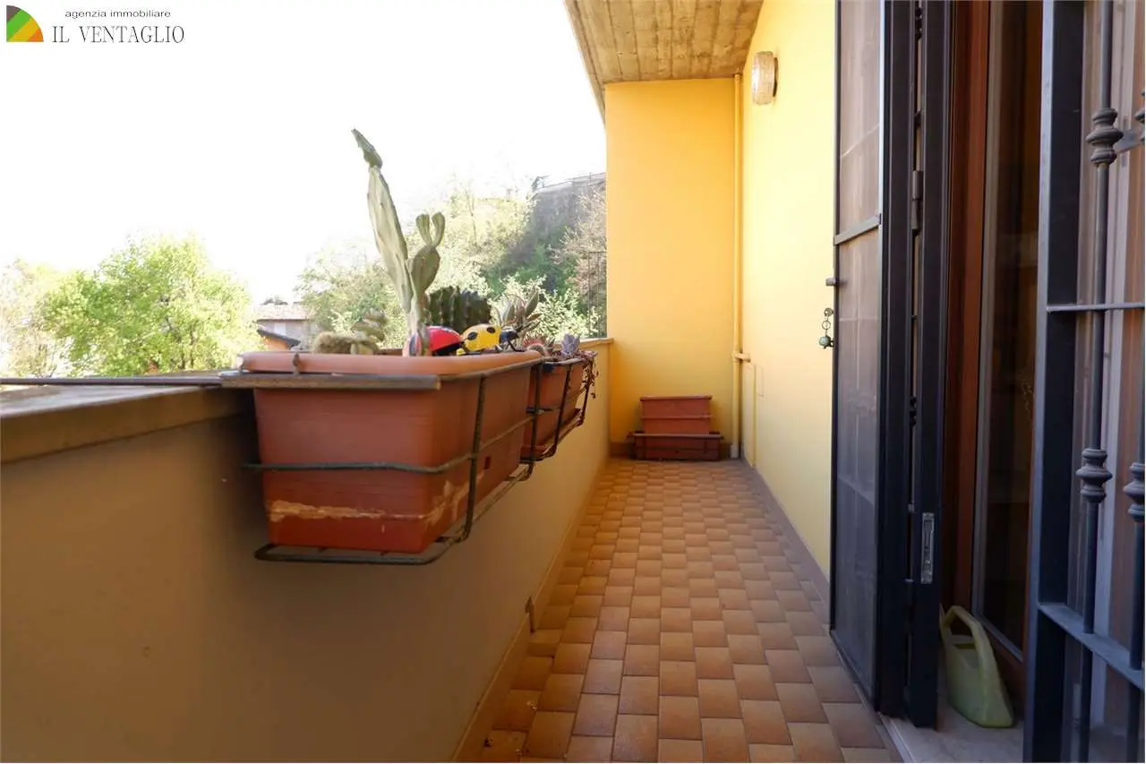 Immagine per Appartamento in vendita a Castellarano