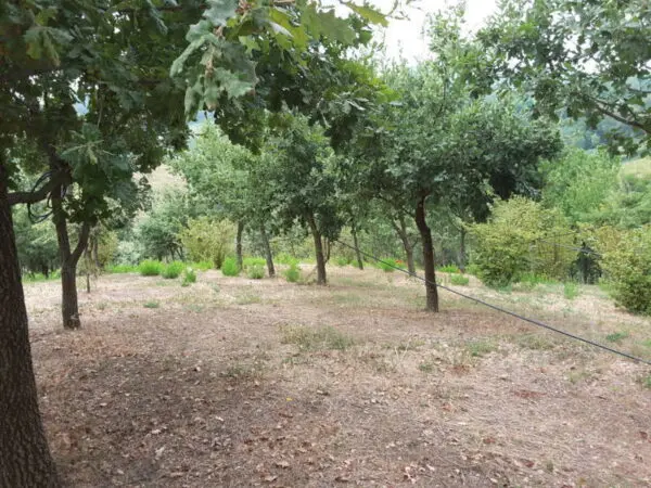 Agriturismo via Traversa Massa, Offagna