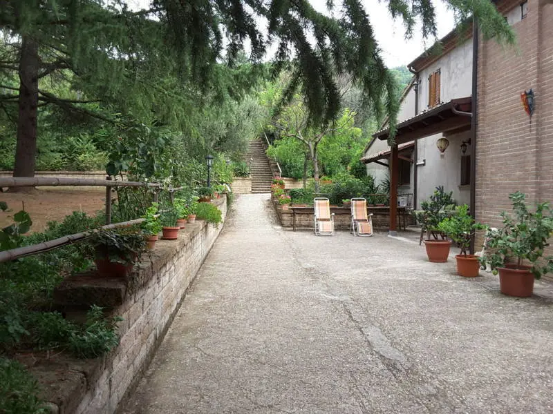 Immagine per Agriturismo in vendita a Offagna via Traversa Massa