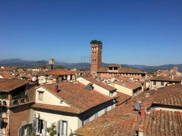 Immagine per Monolocale in affitto a Lucca via Corte Pini