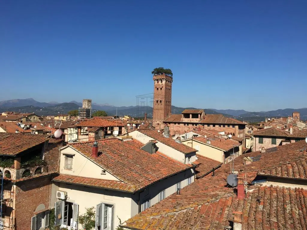 Immagine per Monolocale in affitto a Lucca via Corte Pini