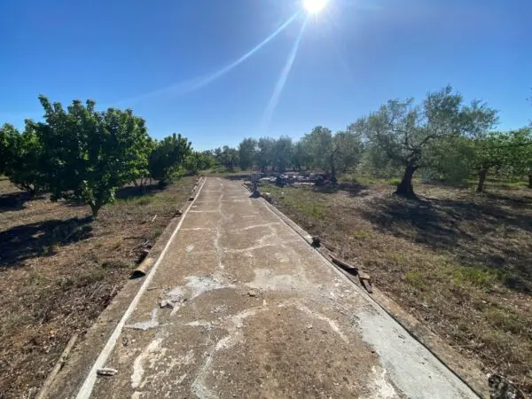Immagine per Uliveto in vendita a Gioia del Colle via Vicinale Oronzino 5296