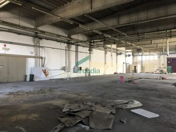 Immagine per Industriale in affitto a Bitonto via Sp 231