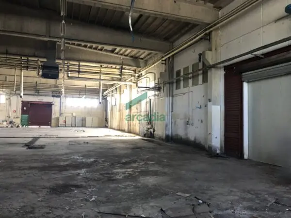 Immagine per Industriale in affitto a Bitonto via Sp 231