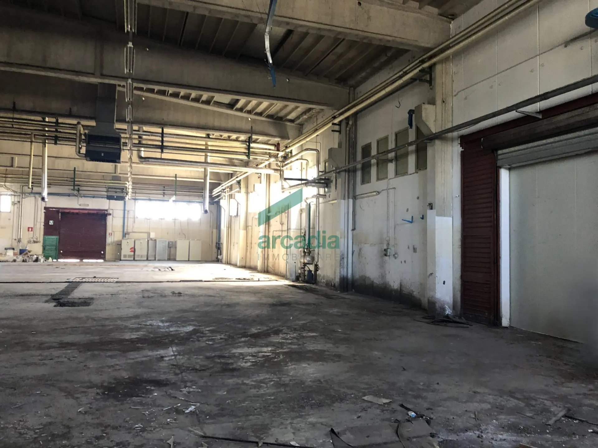 Immagine per Industriale in affitto a Bitonto via Sp 231