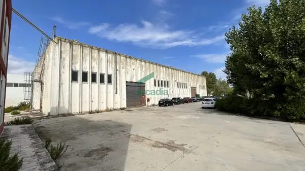 Industriale via Sp 231, Bitonto
