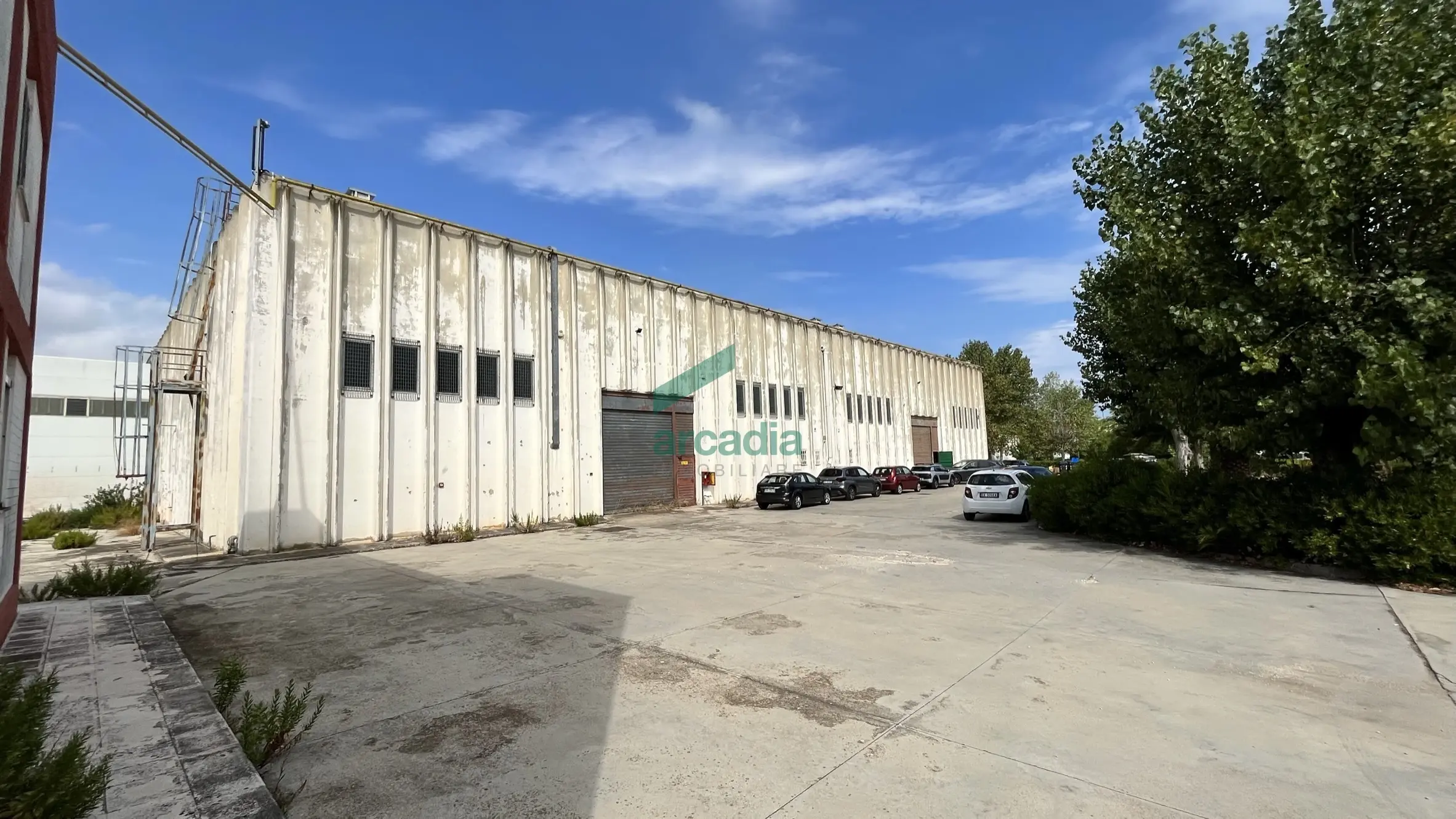 Immagine per Industriale in affitto a Bitonto via Sp 231