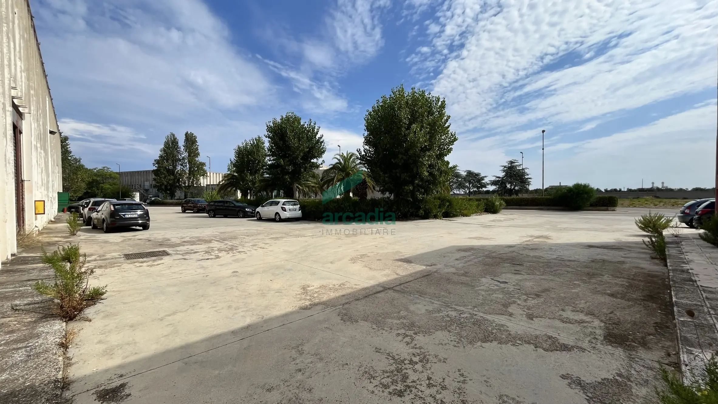 Immagine per Industriale in affitto a Bitonto via Sp 231