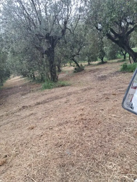 Immagine per Industriale in vendita a Colonnella via Dei Calanchi